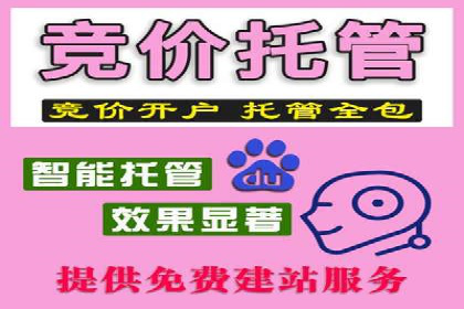 SEM账户托管服务效果案例分析